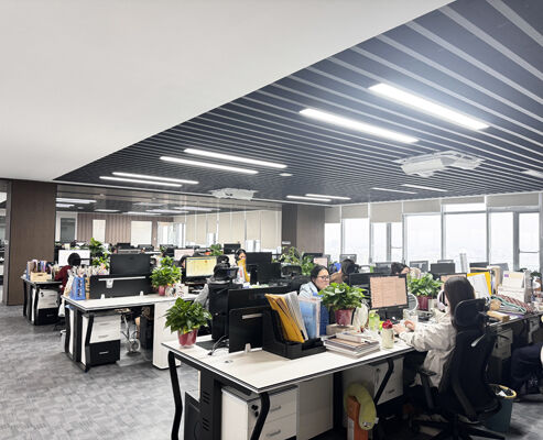 চীন SONSILL HOLDING সংস্থা প্রোফাইল