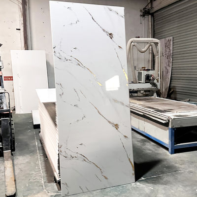 বাথরুম সংস্কারের জন্য টেকসই দীর্ঘস্থায়ী প্লাস্টিকের শাওয়ার ওয়াল প্যানেল