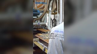 বহিরঙ্গন বাহ্যিক বাহ্যিক WPC প্রাচীর ক্ল্যাডিং বোর্ড